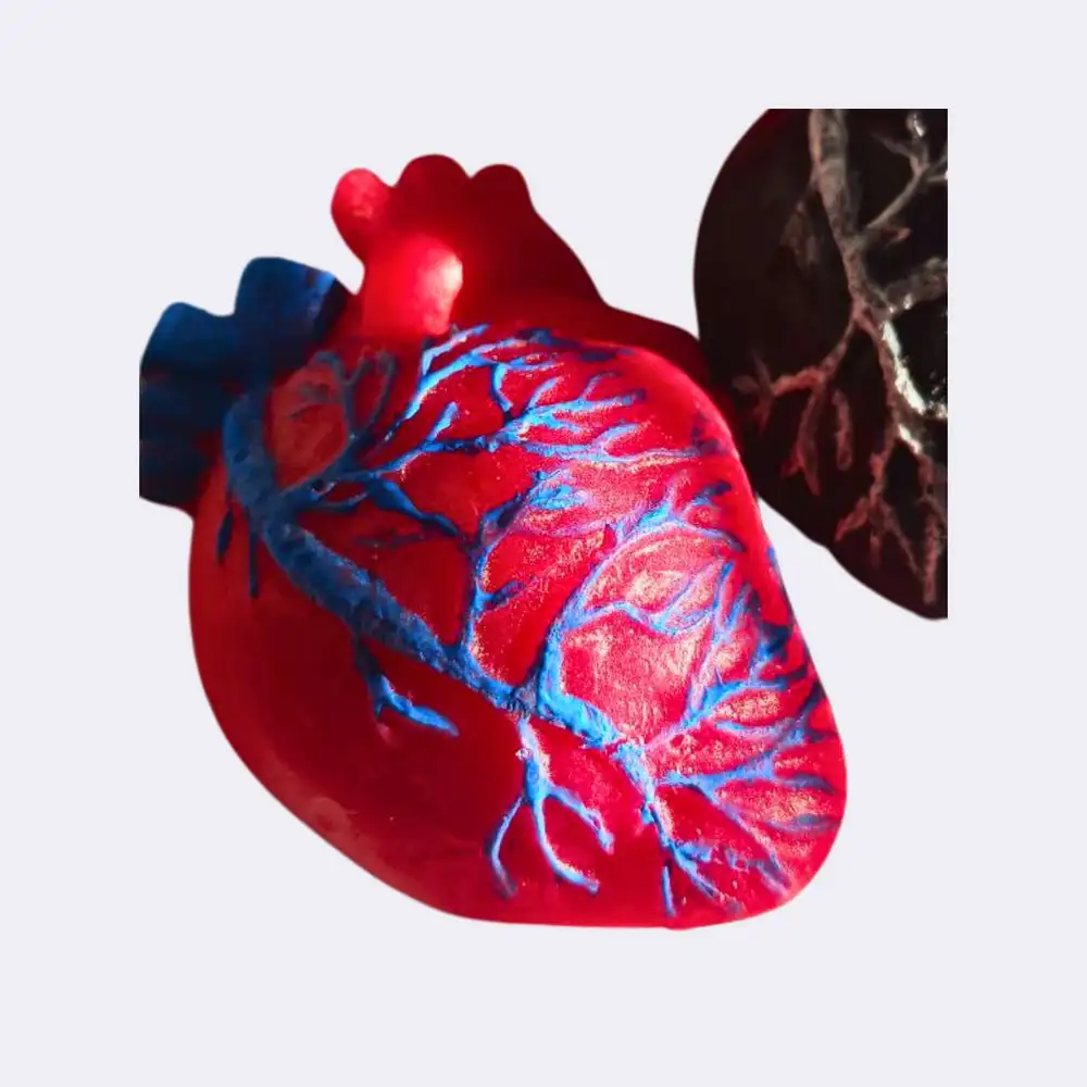 Dekokerze „Anatomisches Herz“