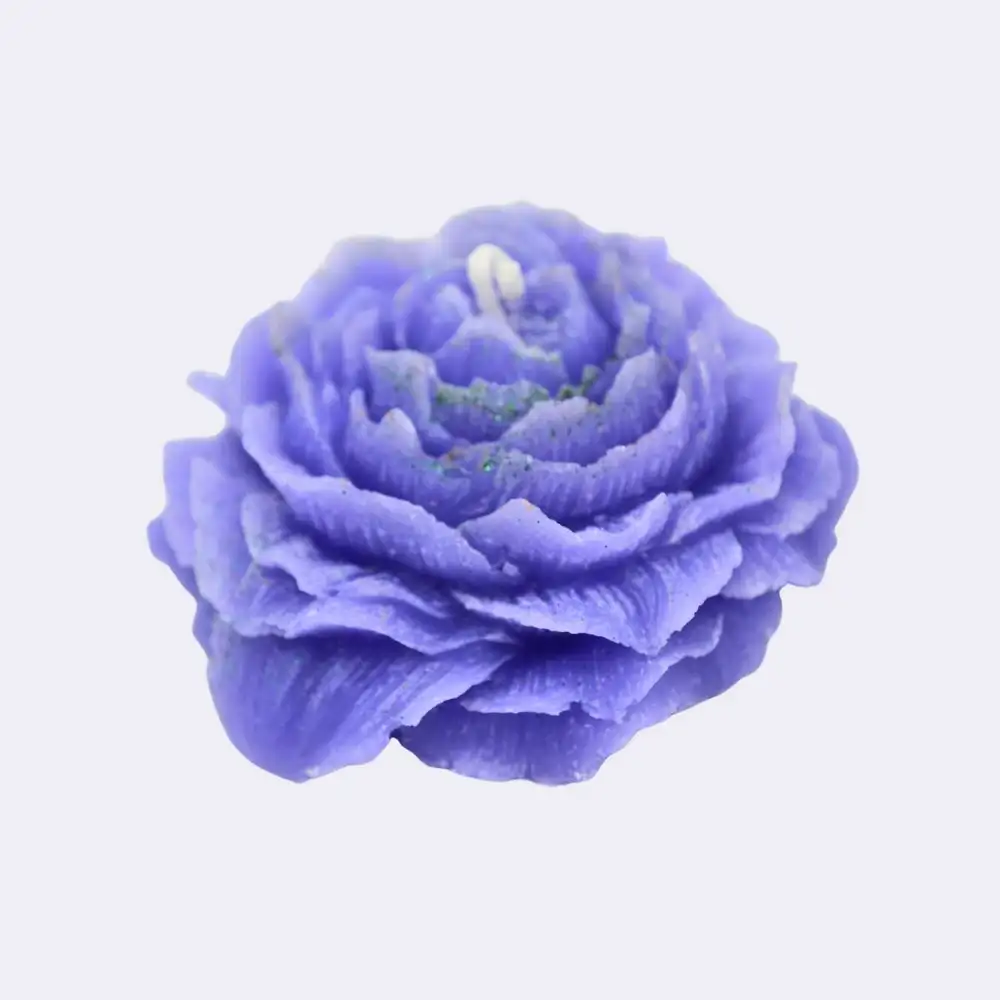 Rose violett – Bild 2