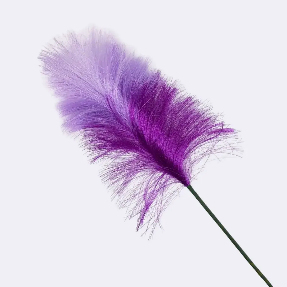 Pampasgras „Lavendeltraum“ – Bild 2