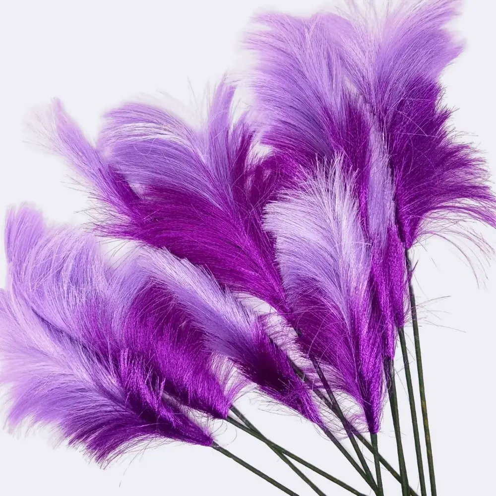 Pampasgras „Lavendeltraum“